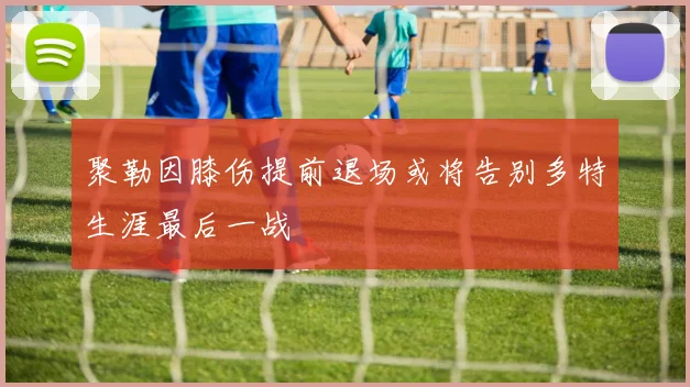 聚勒因膝伤提前退场或将告别多特生涯最后一战