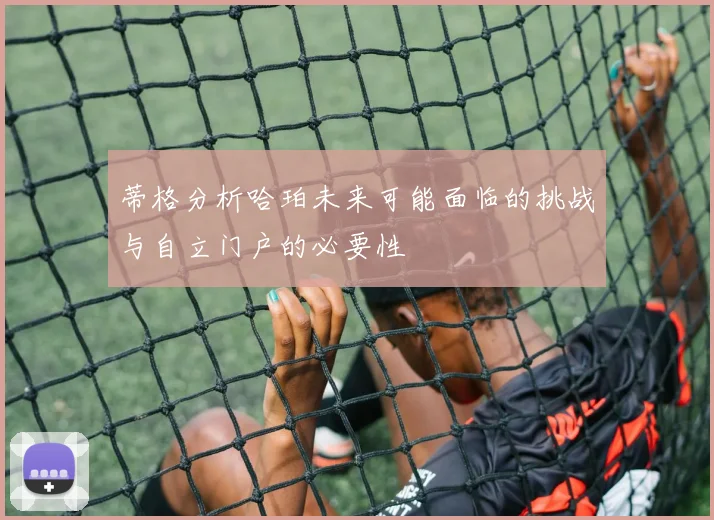 蒂格分析哈珀未来可能面临的挑战与自立门户的必要性